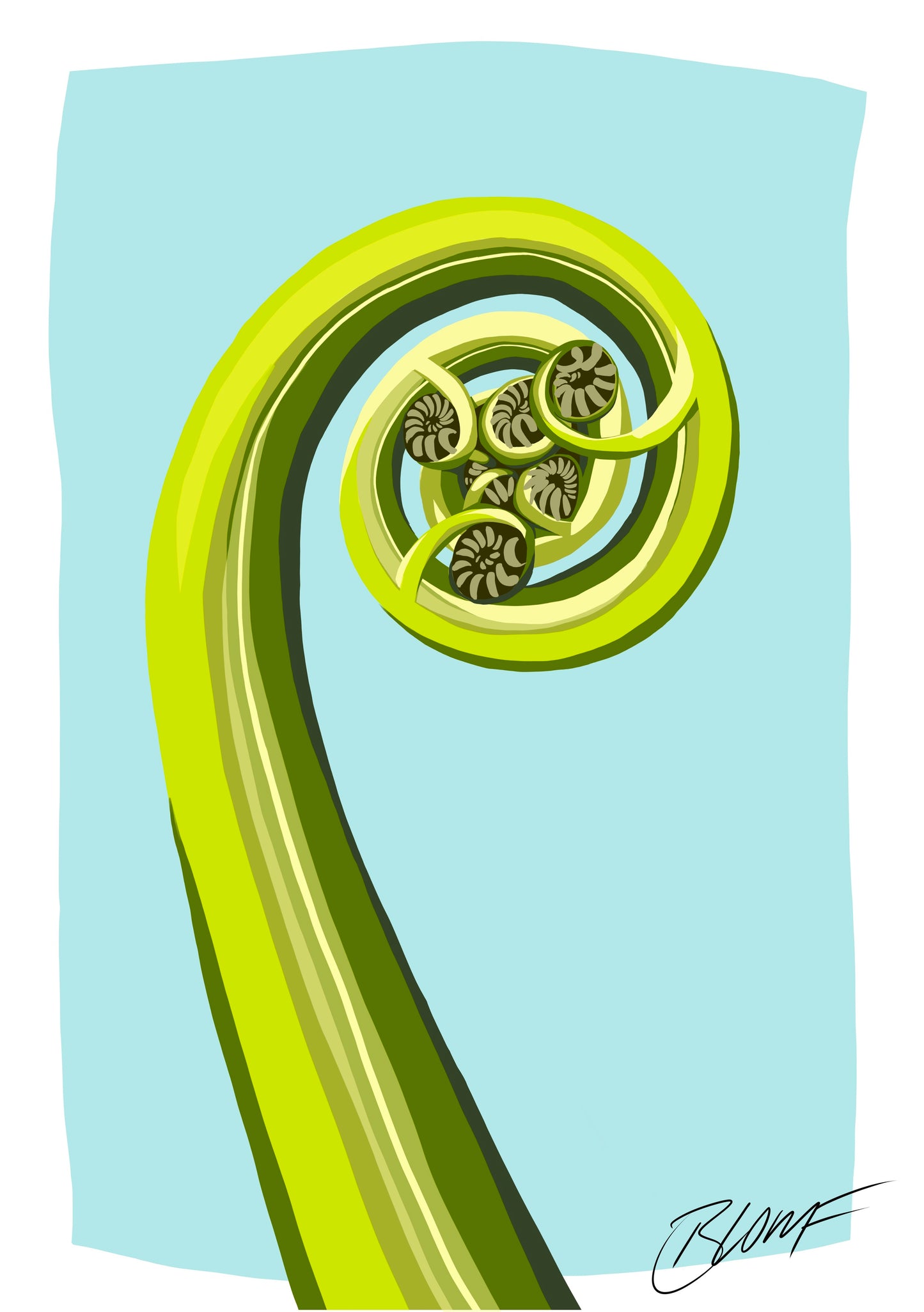 Koru Turquoise