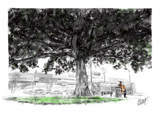 Glen Innes Mayfair Place