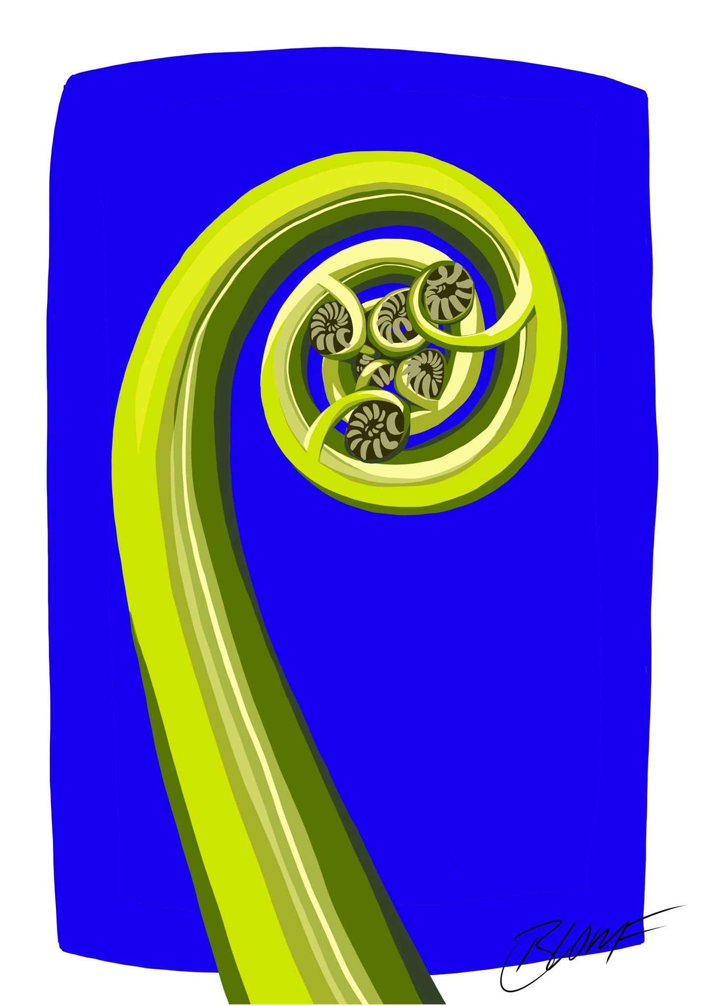 Koru Blue