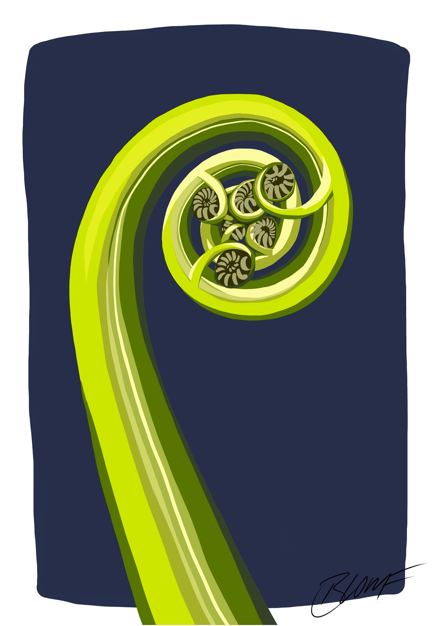 Koru Midnight Blue