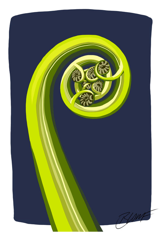 Koru Midnight Blue