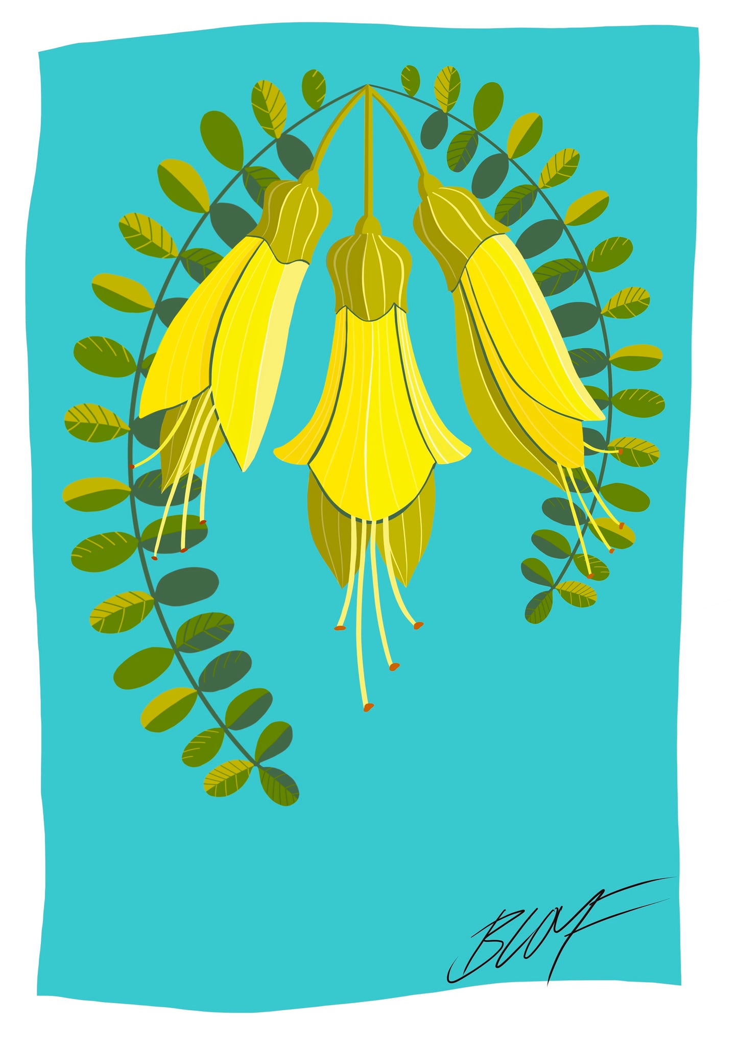 kowhai
