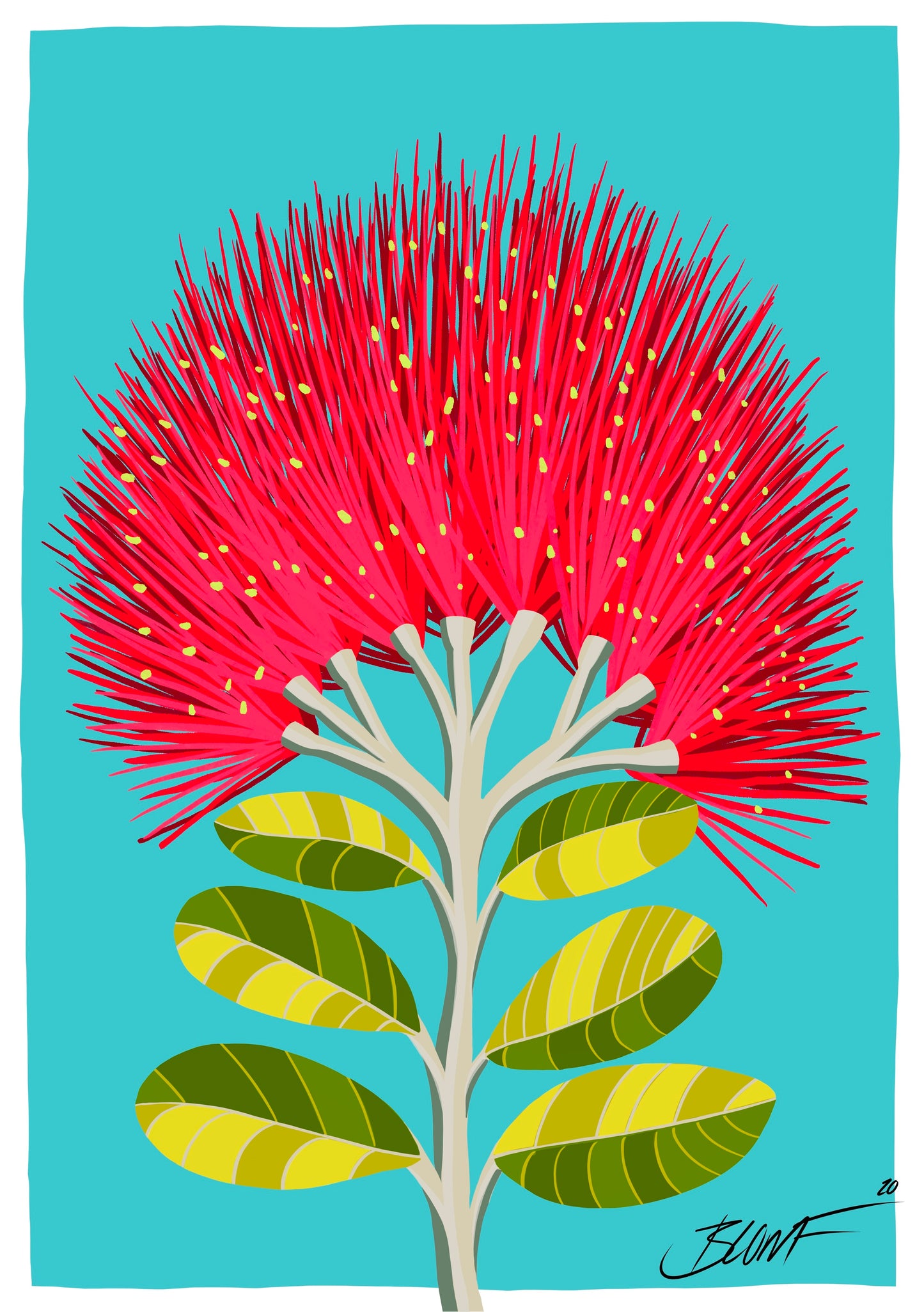 Pohutukawa Turquoise