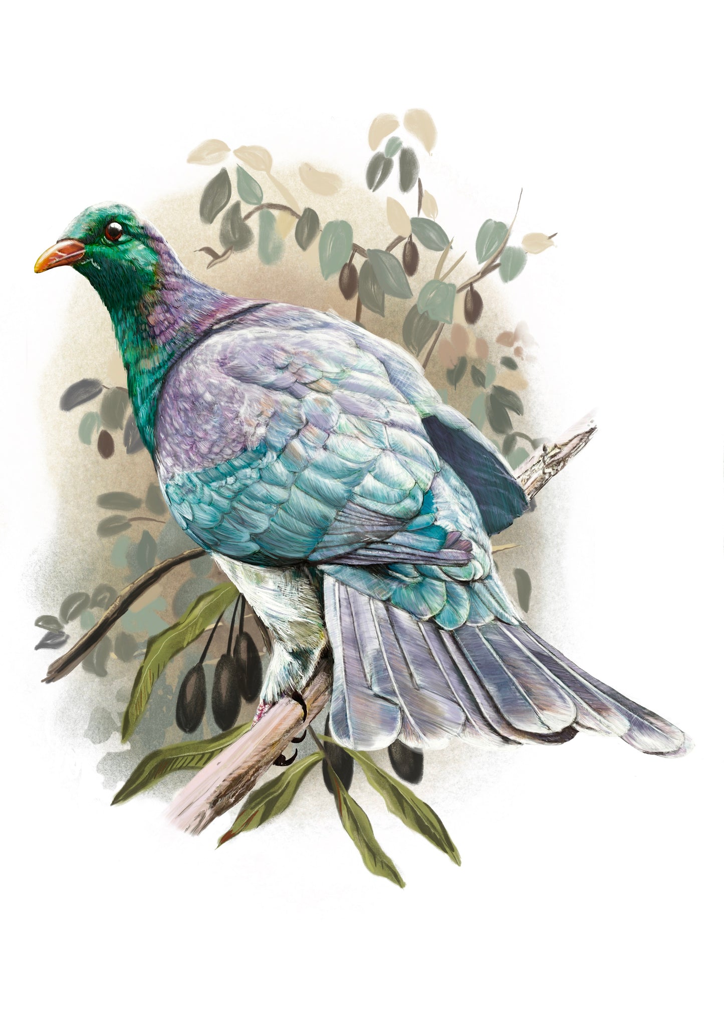 Kereru