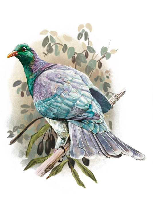 Kereru