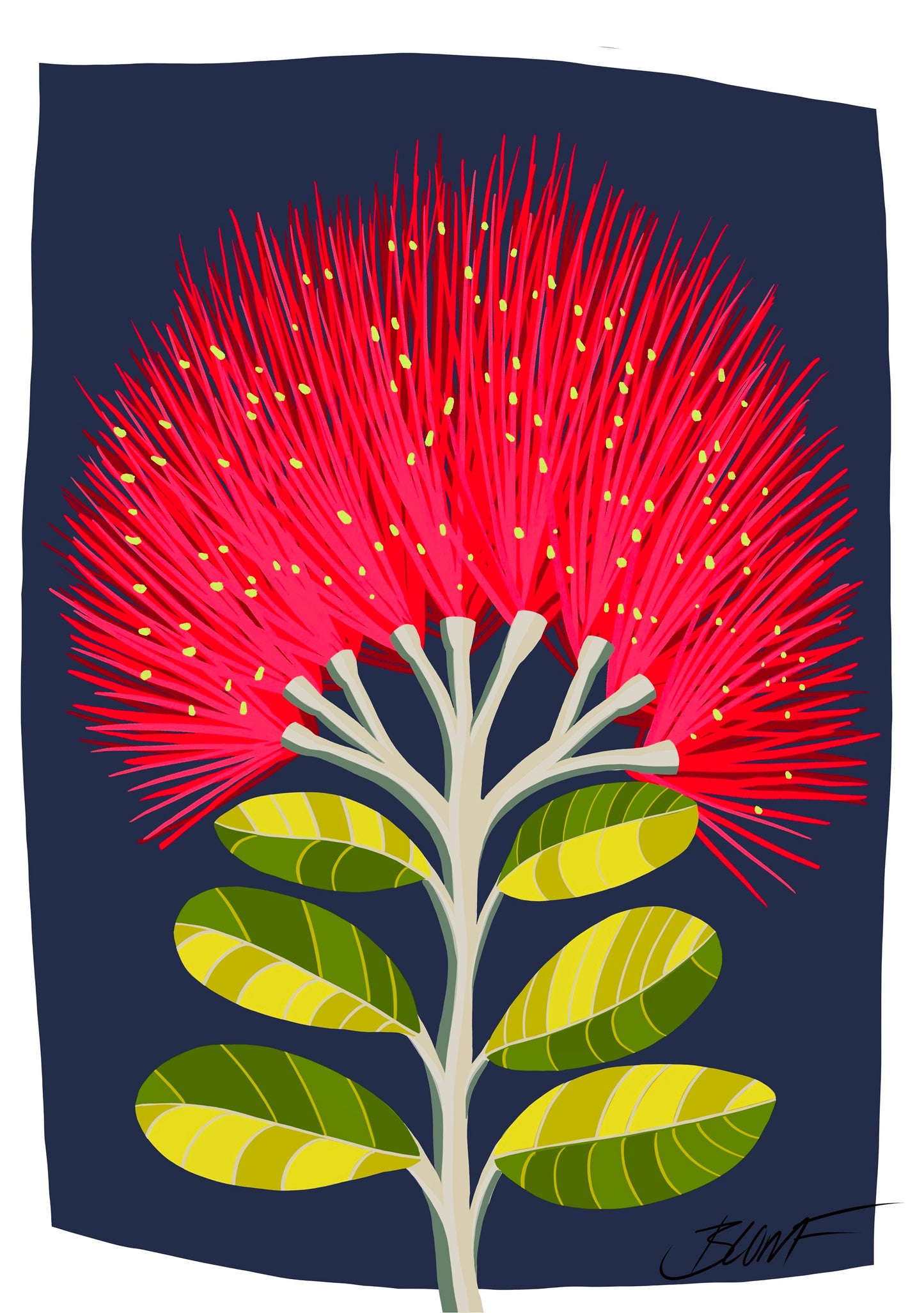 Pohutukawa Midnight Blue